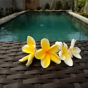 *** Gasthuis Eka Bali Indonesië